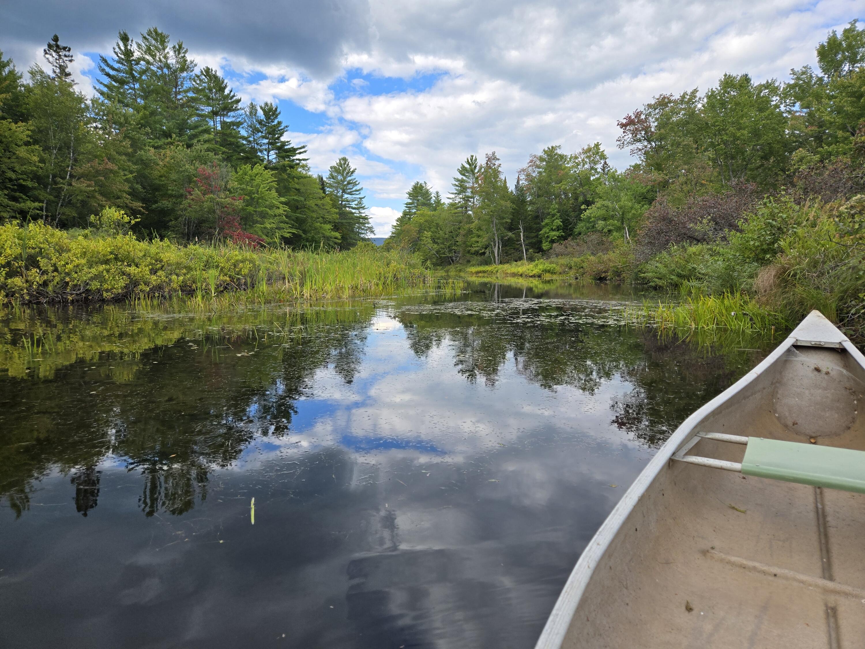 117 Gammon Road Sumner, ME 04292 - Photo 31 of 49 20250914_152231