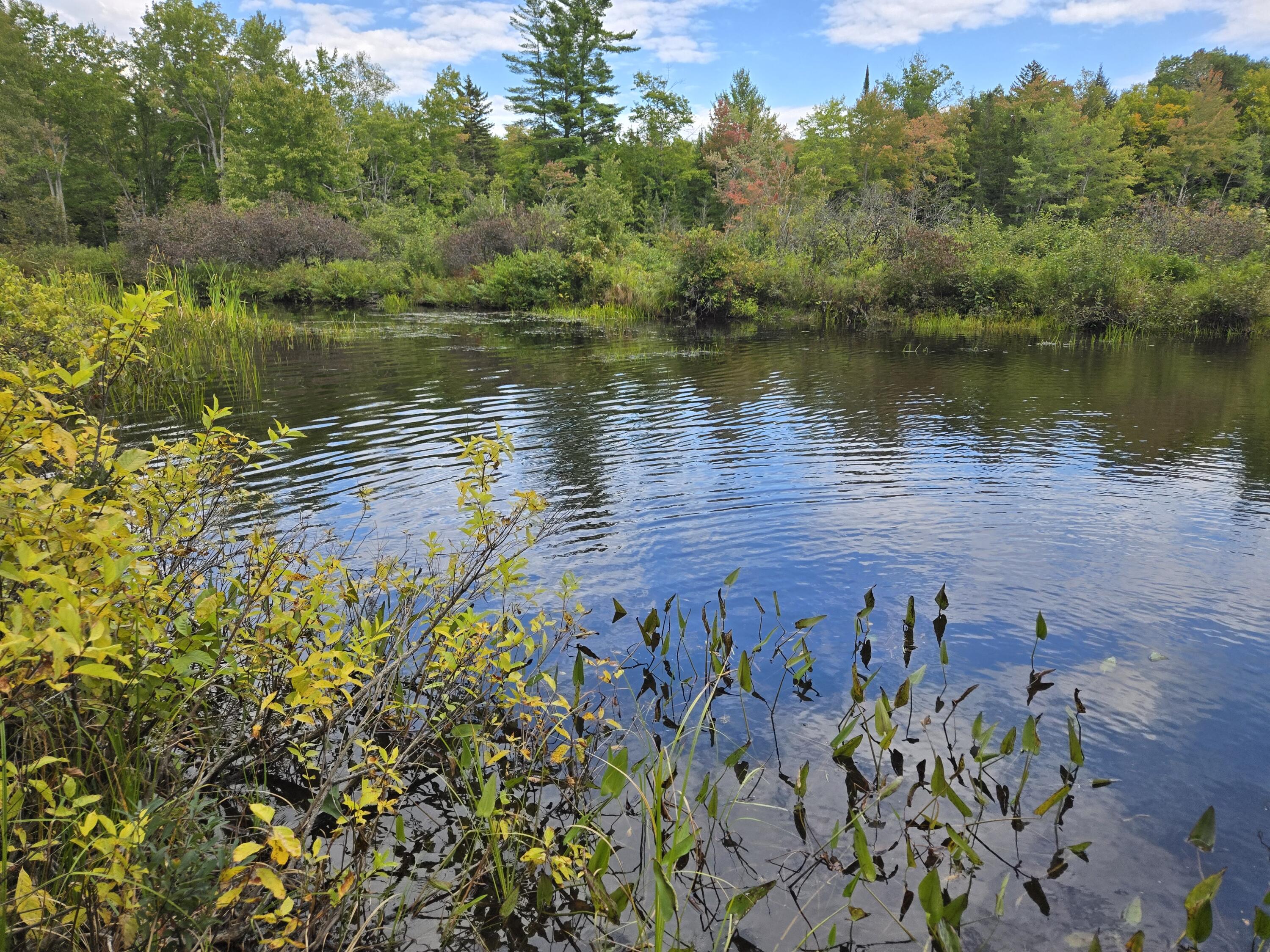 117 Gammon Road Sumner, ME 04292 - Photo 32 of 49 20250914_152926