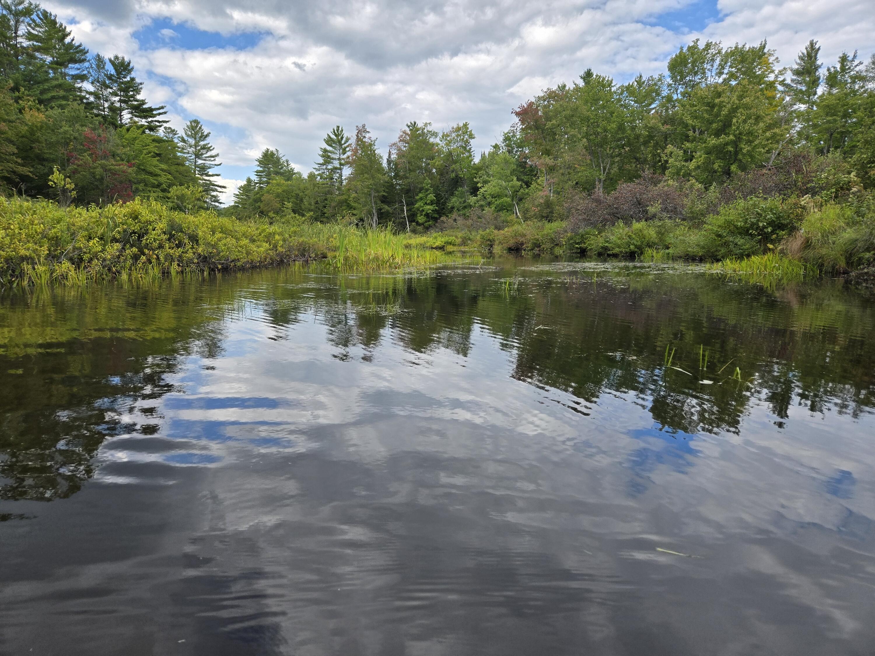 117 Gammon Road Sumner, ME 04292 - Photo 33 of 49 20250914_152212