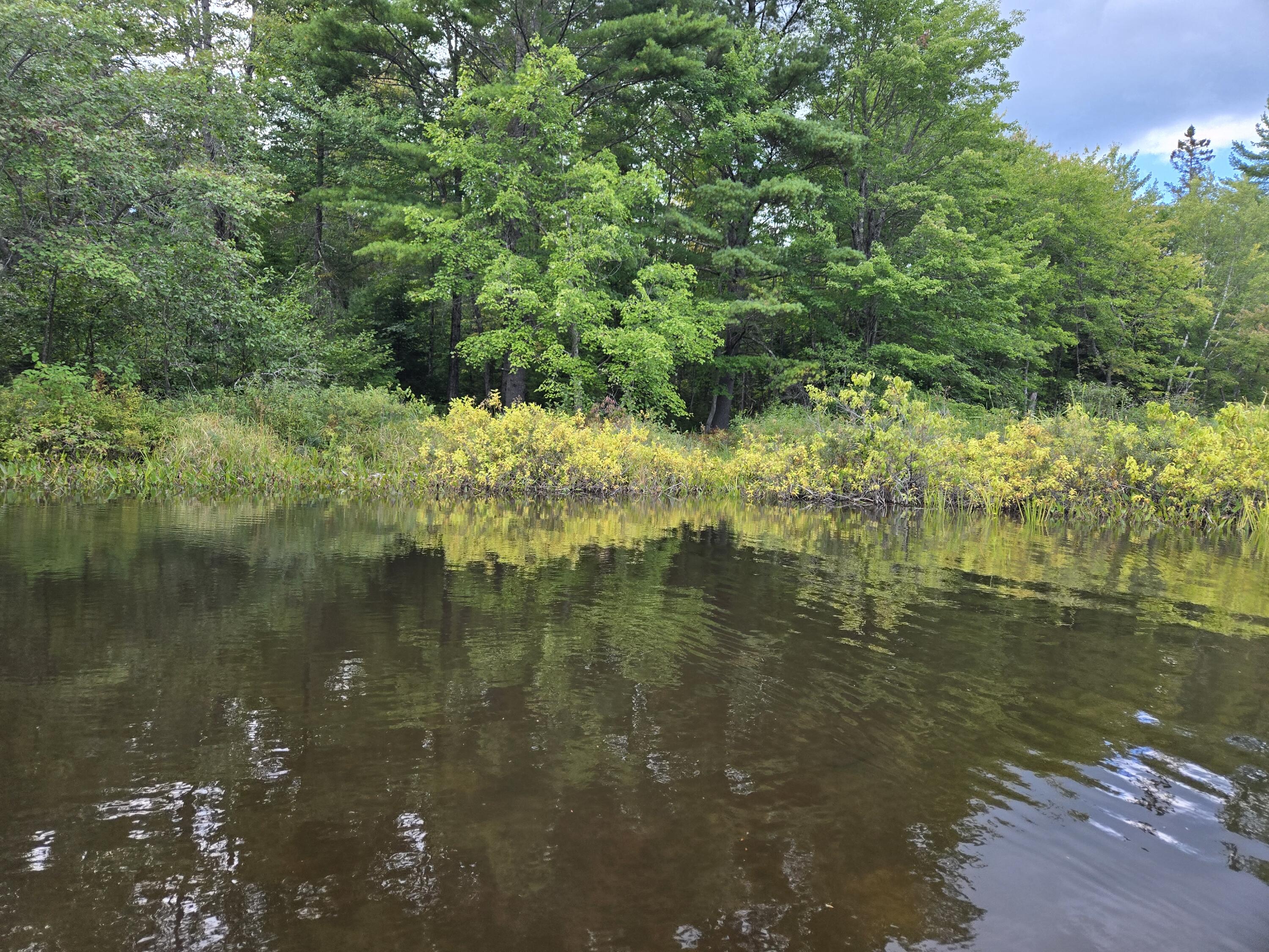 117 Gammon Road Sumner, ME 04292 - Photo 34 of 49 20250914_152214