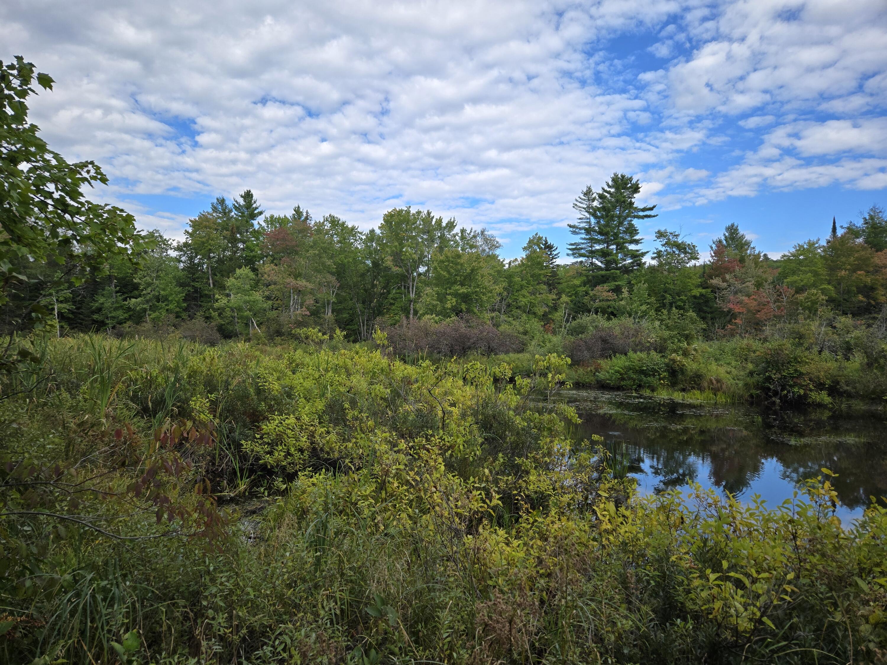 117 Gammon Road Sumner, ME 04292 - Photo 36 of 49 20250914_152023