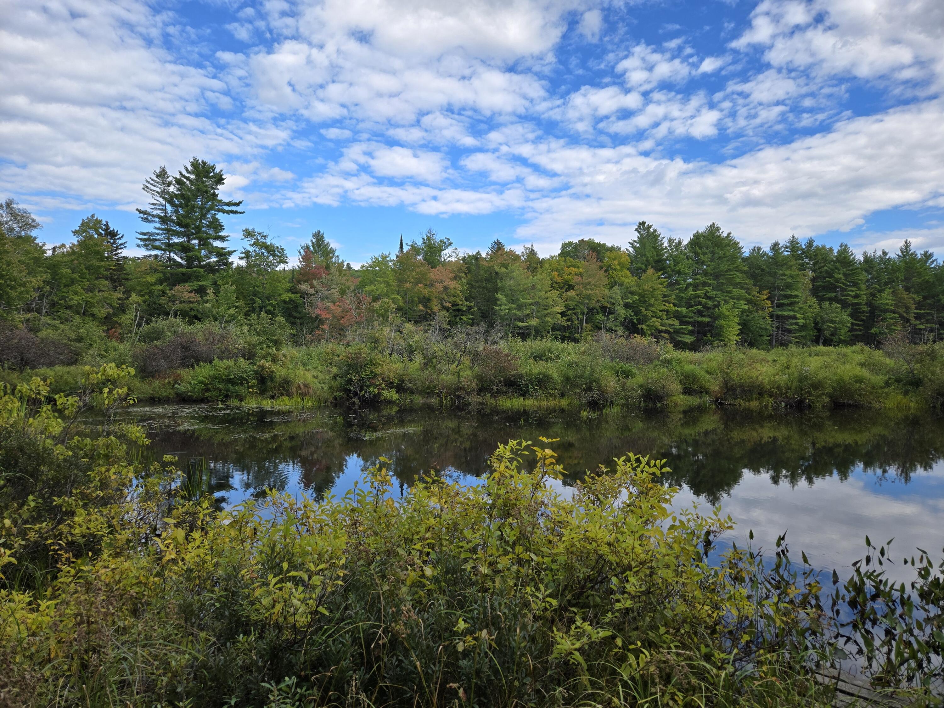 117 Gammon Road Sumner, ME 04292 - Photo 37 of 49 20250914_152020