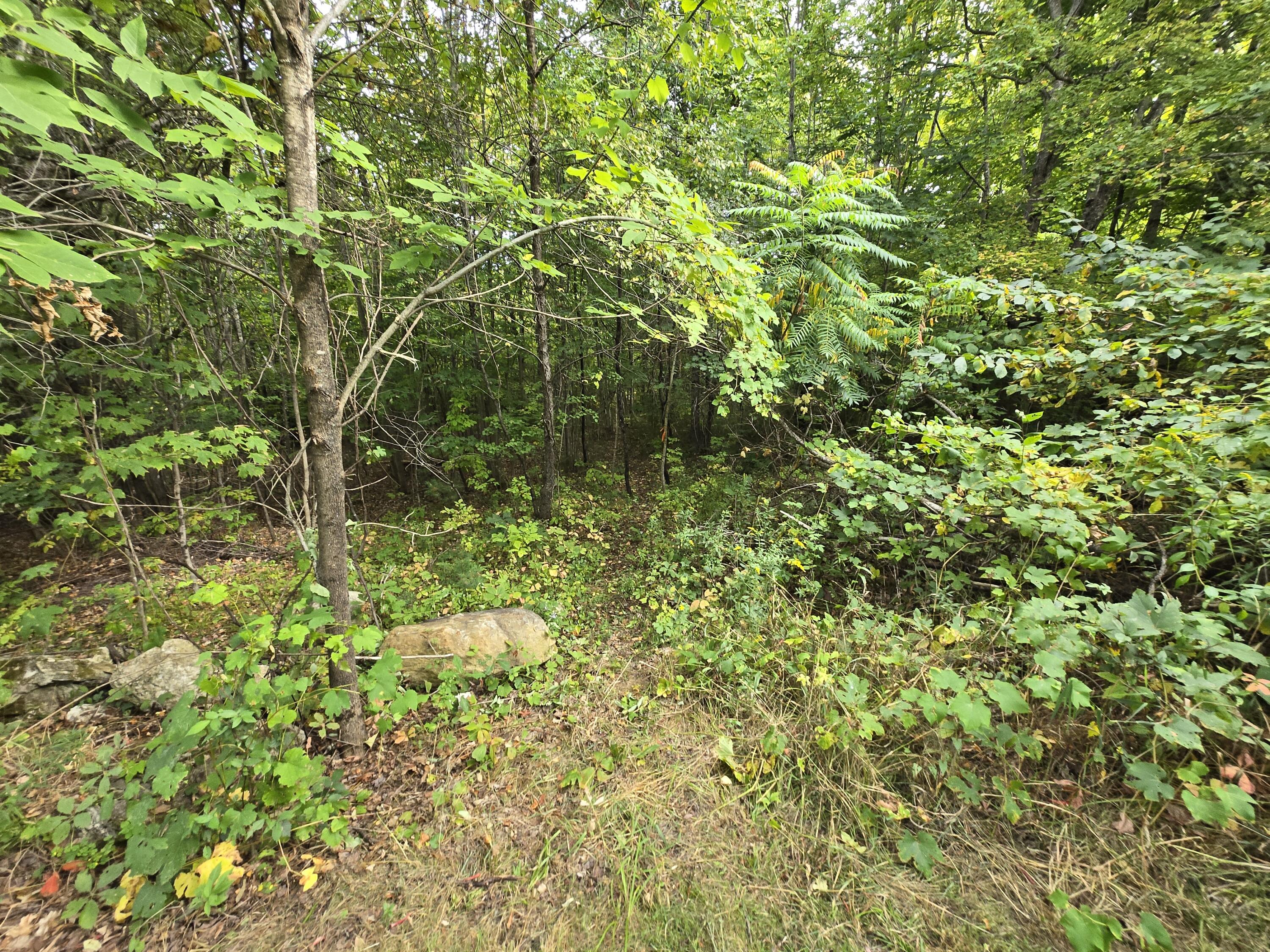 117 Gammon Road Sumner, ME 04292 - Photo 39 of 49 20250914_151741