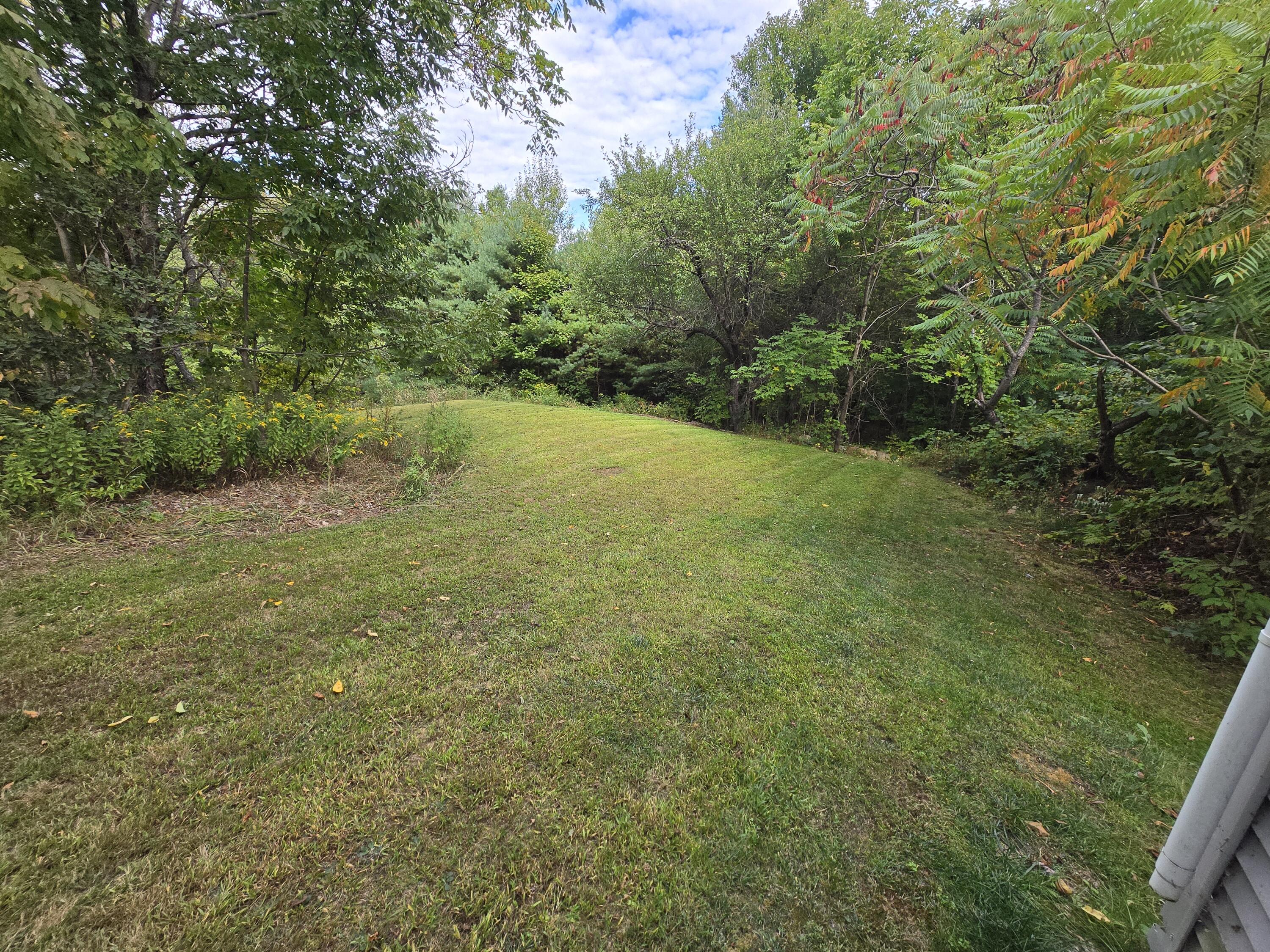 117 Gammon Road Sumner, ME 04292 - Photo 42 of 49 20250914_151707