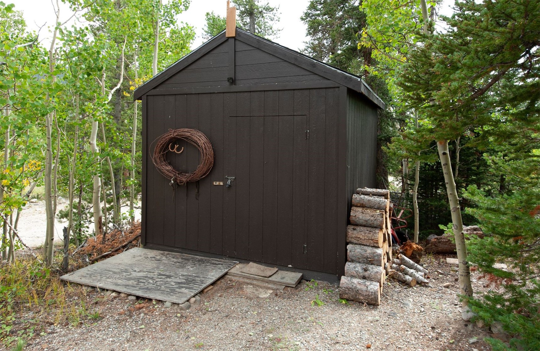 89 Mine Road Alma, CO 80420 - Photo 24 of 35 Gallery Image 24