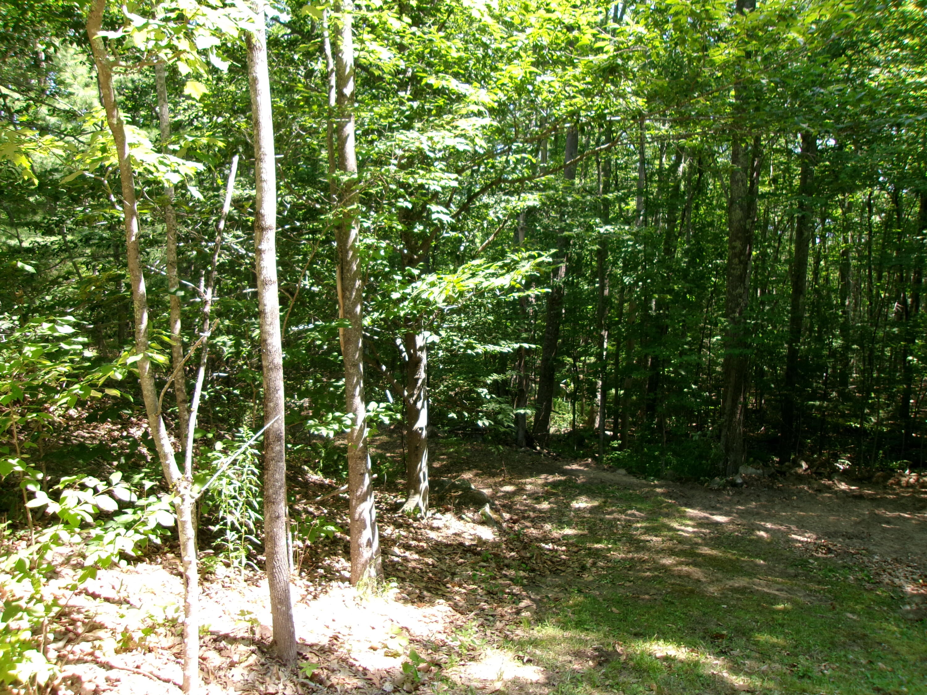 218 Bowdoinham Road Lisbon, ME 04252 - Photo 55 of 55 Private & Wooded.