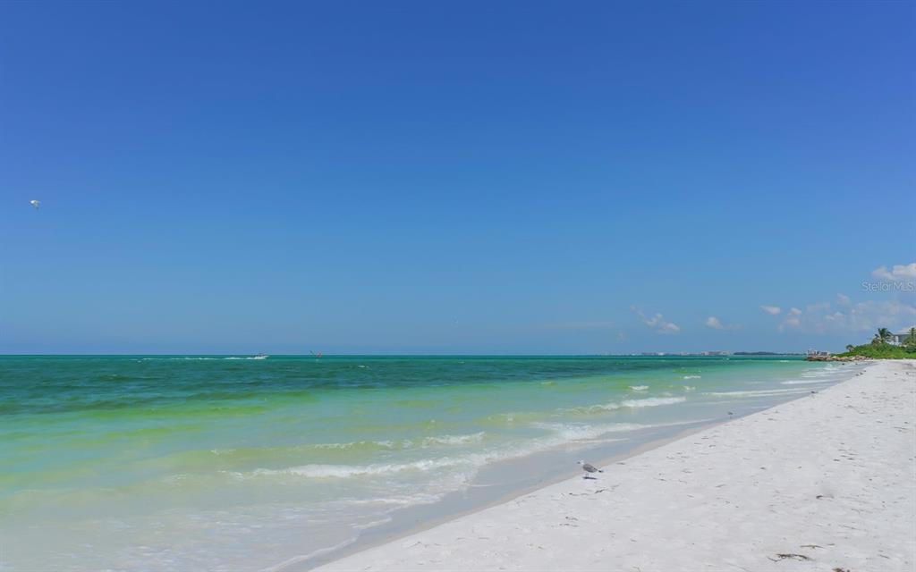 225 Hour Glass Way, Unit 202 Sarasota, FL 34242 - Photo 53 of 68 a view of a big yard
