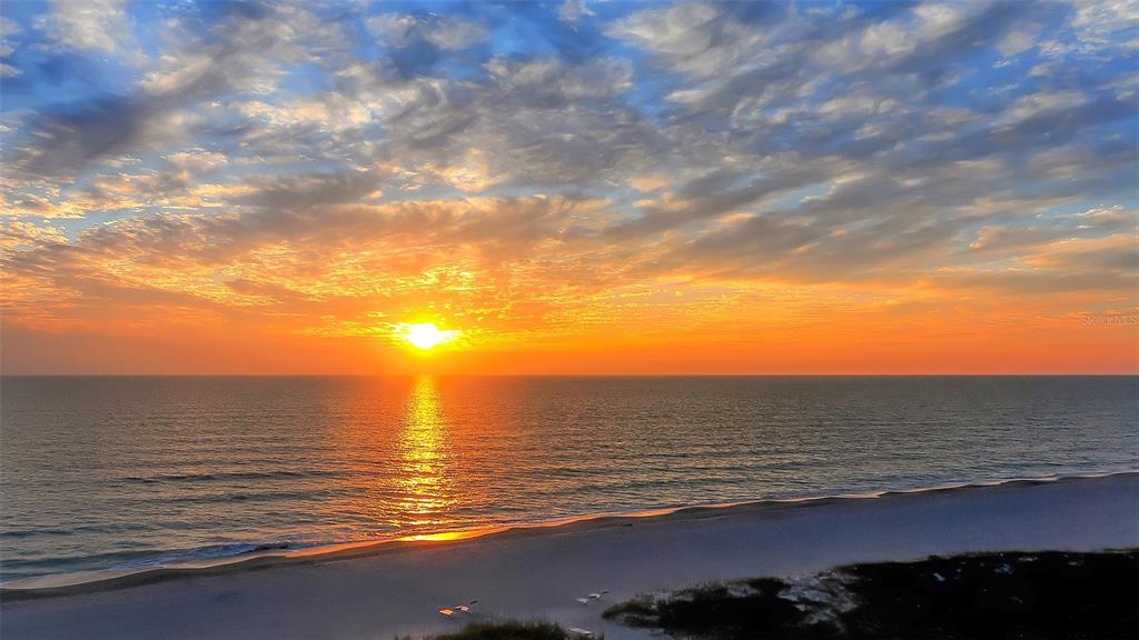 225 Hour Glass Way, Unit 202 Sarasota, FL 34242 - Photo 55 of 68
