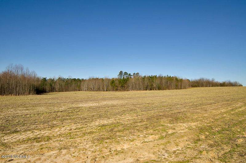 4 Rommie Daniels Road Castalia, NC 27816 - Photo 3 of 6 8