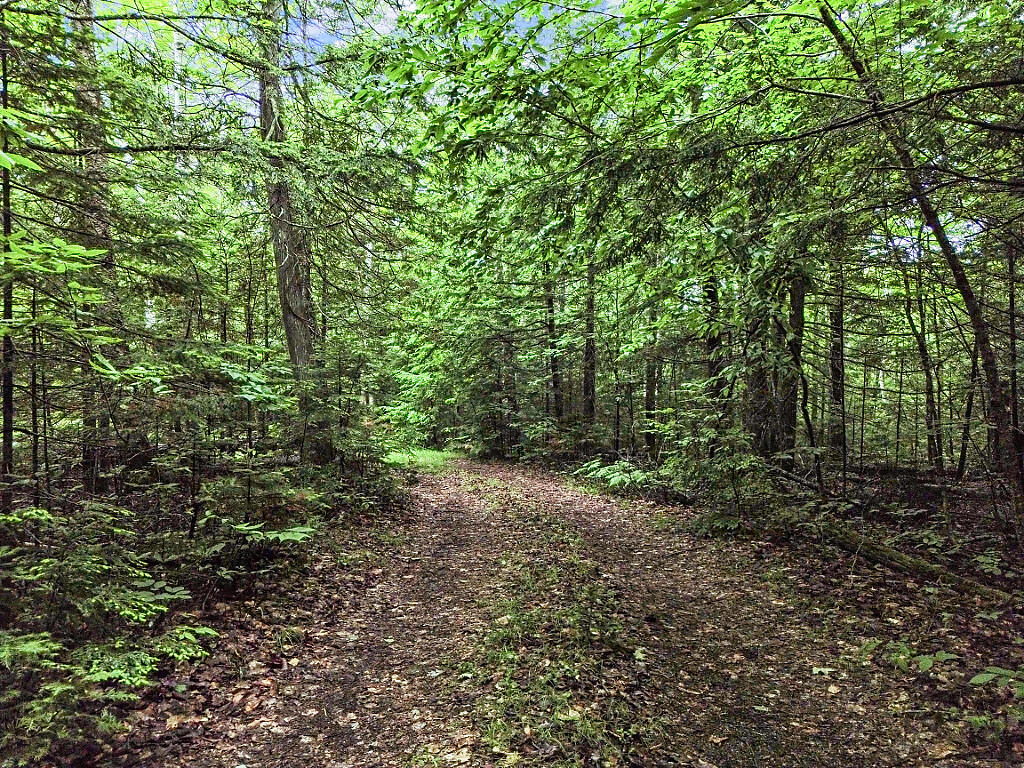 16 Judkins Road Harmony, ME 04942 - Photo 61 of 65 03_DJI_0312_DxO