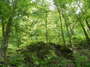 Tbd East River Road Shoals, IN 47581 - Photo 1 of 3