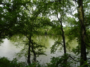 Tbd East River Road Shoals, IN 47581 - Photo 2 of 3