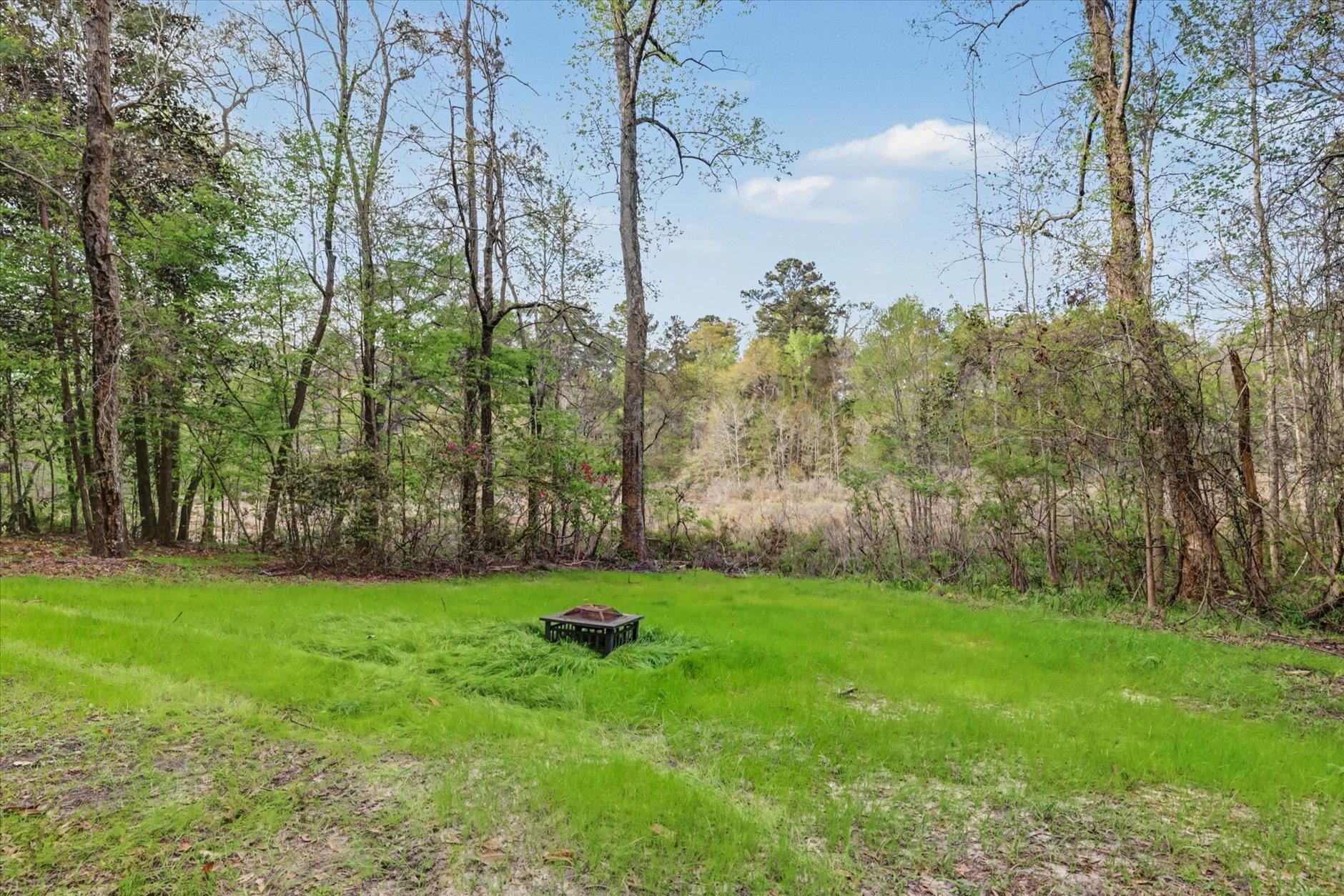 439 Beaver Lake Road Tallahassee, FL 32312 - Photo 36 of 70