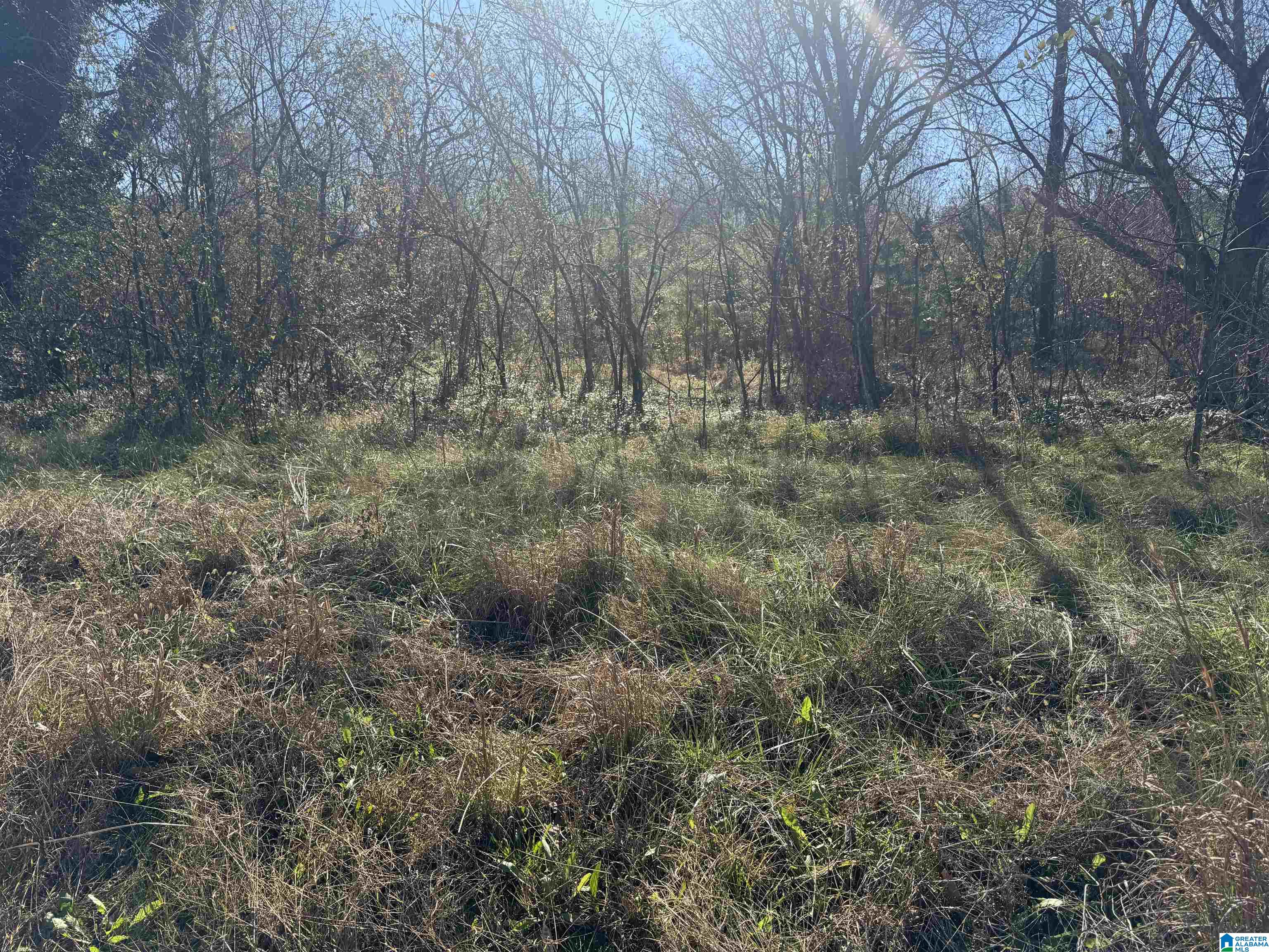 0 Glade Road, Unit 1 Anniston, AL 36206 - Photo 22 of 30