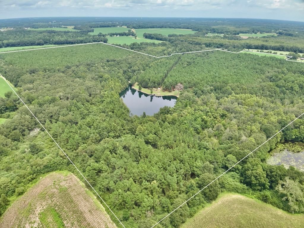 1640 Lafollette Road Slocomb, AL 36375 - Photo 28 of 64
