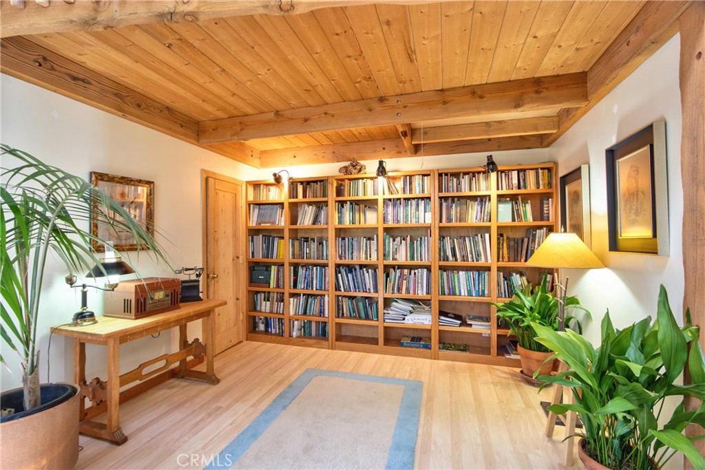 1175 Riverview Drive Fallbrook, CA 92028 - Photo 41 of 57 a living room with furniture and a potted plant