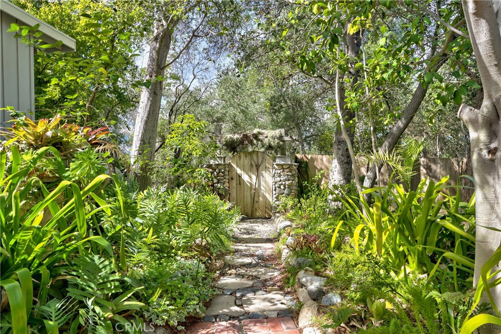 1175 Riverview Drive Fallbrook, CA 92028 - Photo 47 of 57 a view of a yard with plants