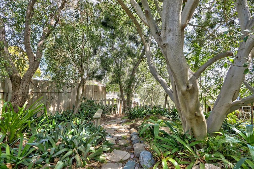 1175 Riverview Drive Fallbrook, CA 92028 - Photo 49 of 57 a backyard of a house with lots of green space