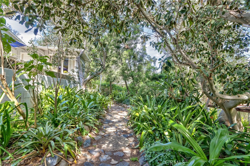 1175 Riverview Drive Fallbrook, CA 92028 - Photo 50 of 57 a backyard of a house with lots of green space