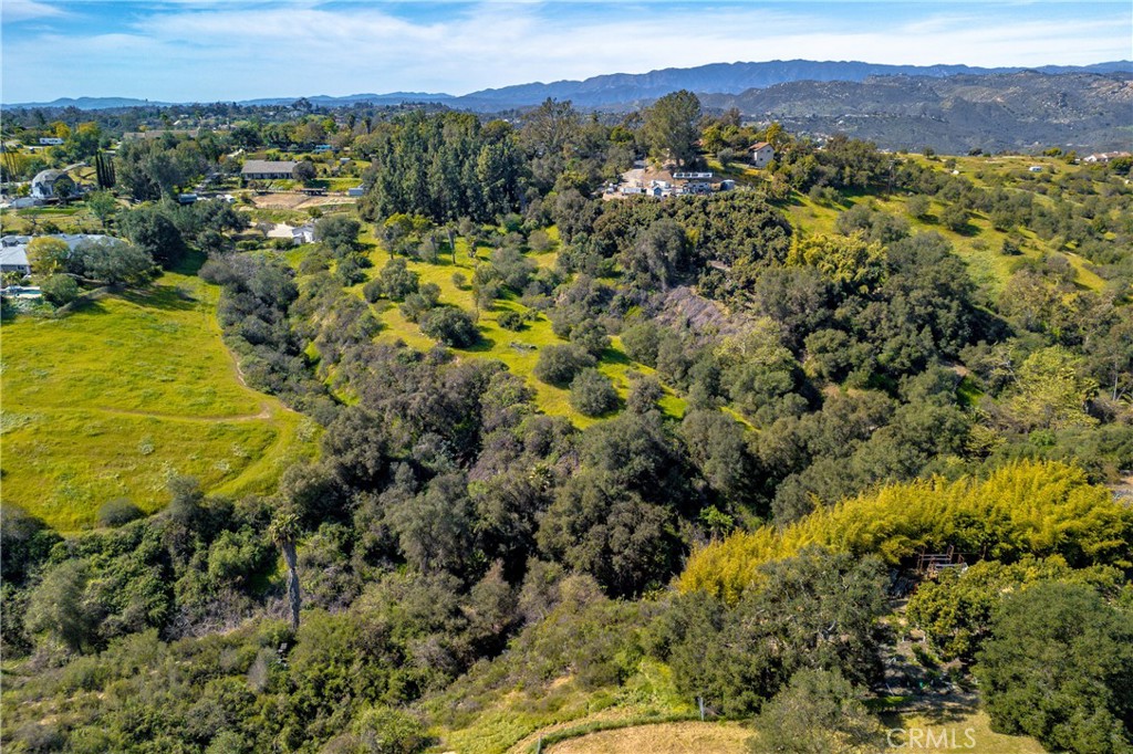 1175 Riverview Drive Fallbrook, CA 92028 - Photo 53 of 57 a view of a city with lush green forest