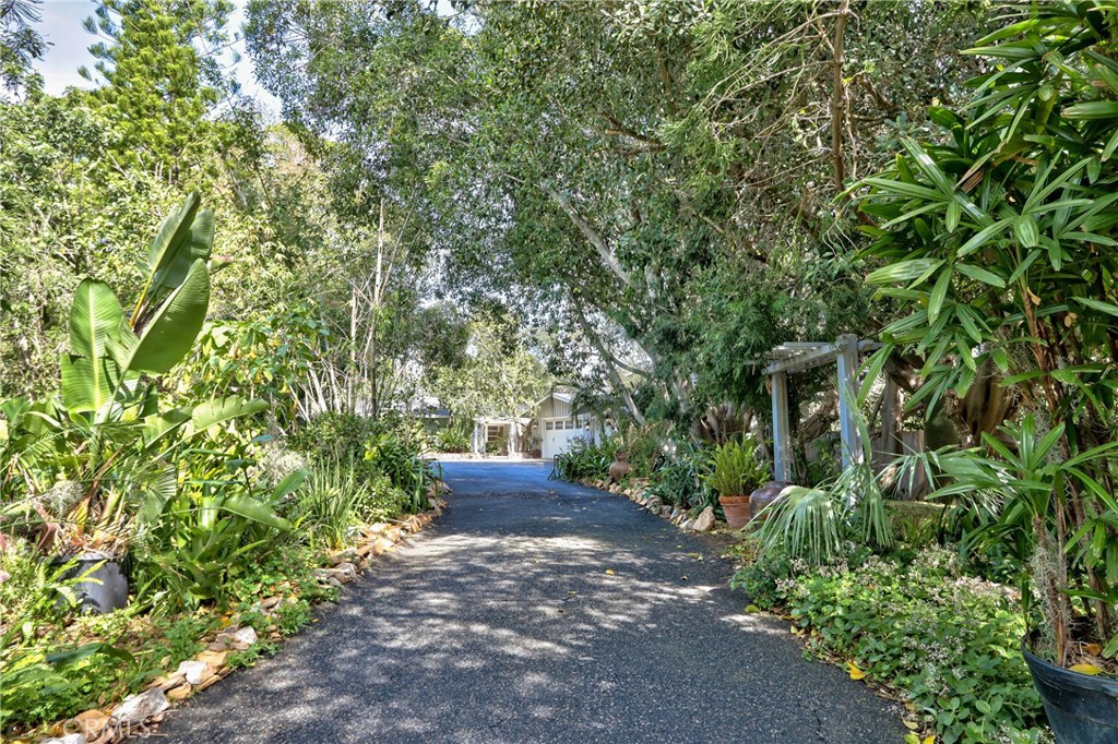 1175 Riverview Drive Fallbrook, CA 92028 - Photo 56 of 57 a view of a backyard with potted plants and large trees