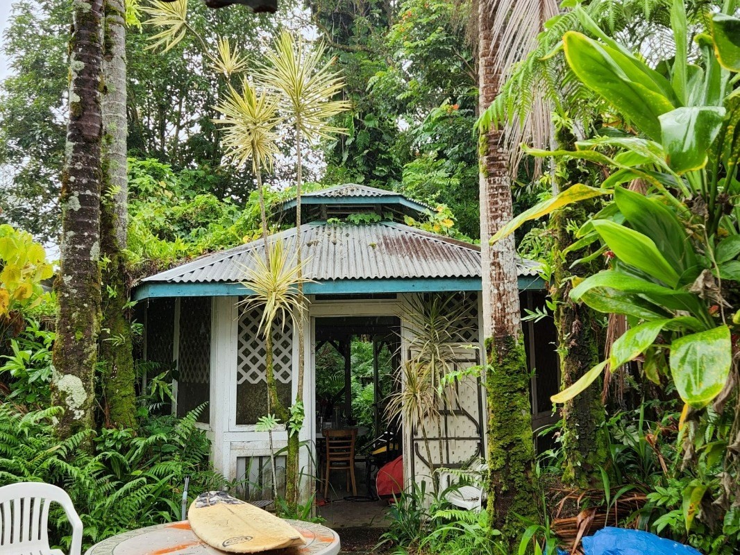 15-2951 Pahoa Village Road Pahoa, HI 96778 - Photo 16 of 18 a front view of a house with garden