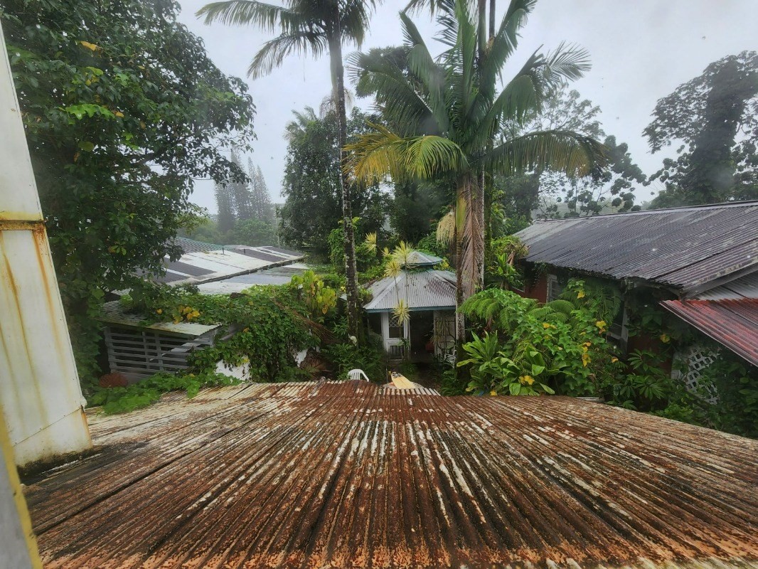 15-2951 Pahoa Village Road Pahoa, HI 96778 - Photo 17 of 18 a view of a backyard