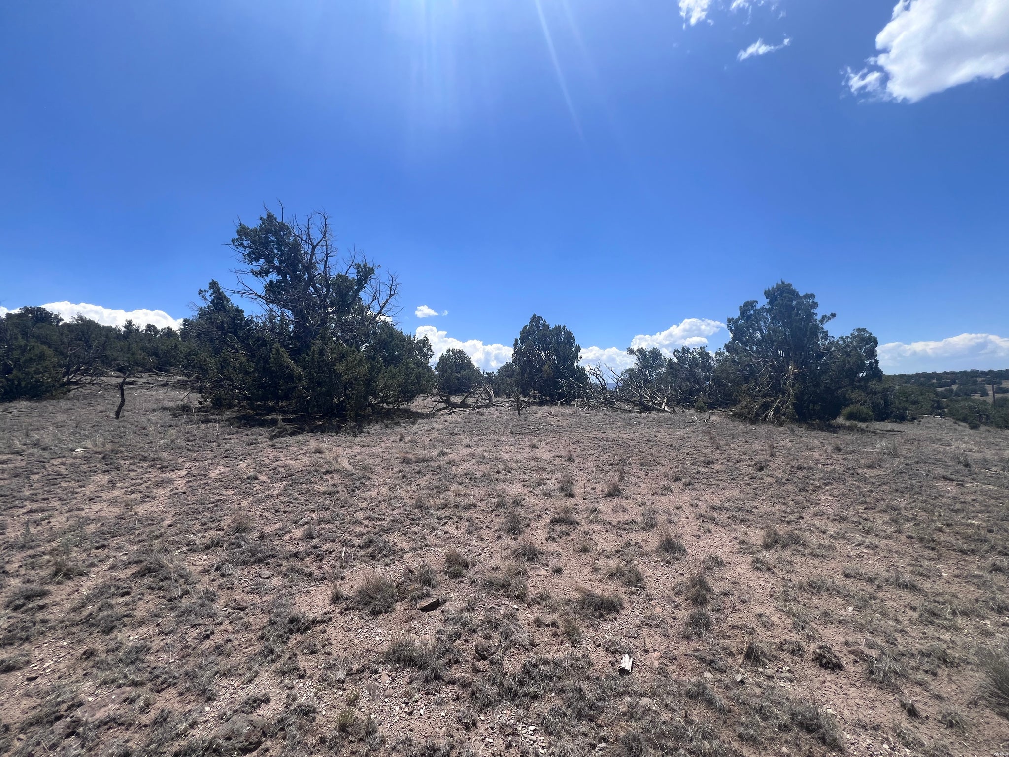 0 Omega Road, Unit 24 Quemado, NM 87829 - Photo 13 of 23 Gallery Image 13
