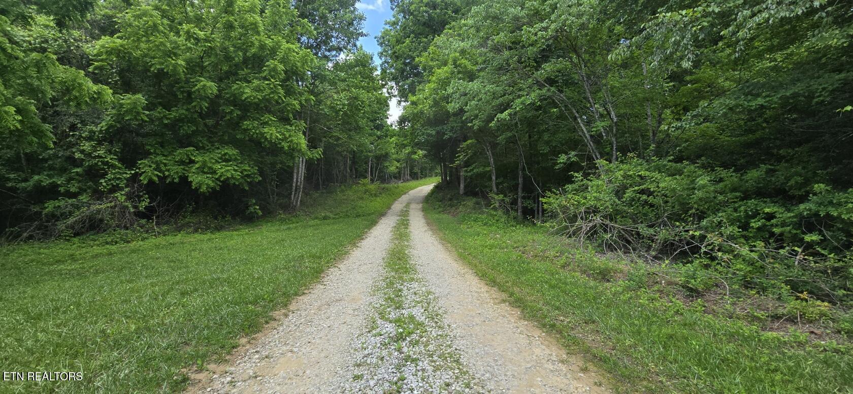 0 Sheep Ranch Road Robbins, TN 37852 - Photo 3 of 29 20260528_123949