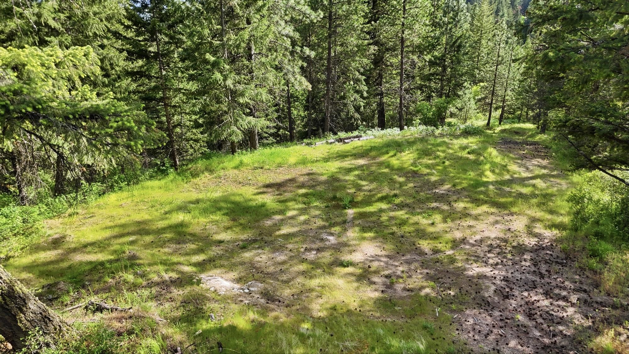 15727 North Koth Road Newman Lake, WA 99025 - Photo 12 of 16