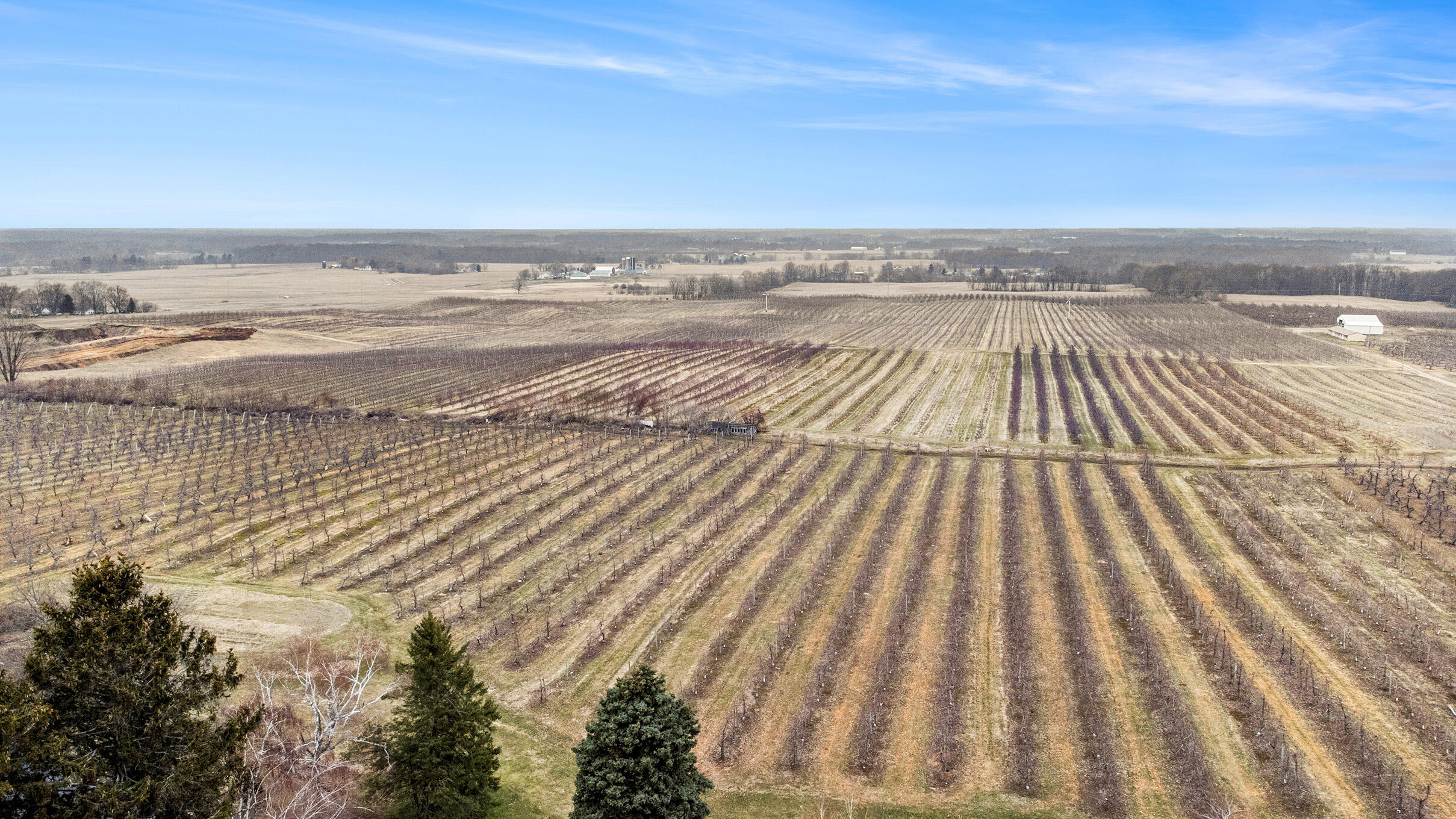 16340 White Road Bailey, MI 49303 - Photo 5 of 30 White rd Drone-4