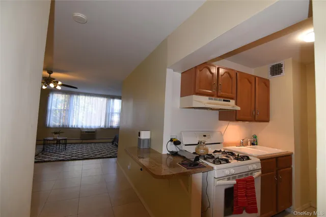 a kitchen with a stove and a sink