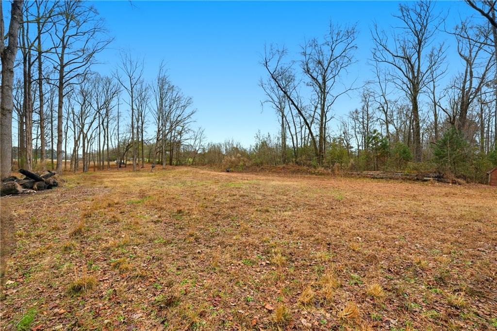 1188 Carl-Bethlehem Road Winder, GA 30680 - Photo 21 of 23 a view of yard with tree