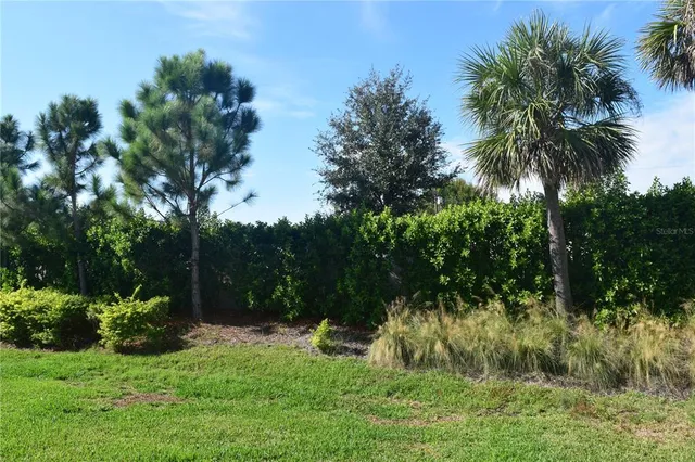 a view of a yard with a tree