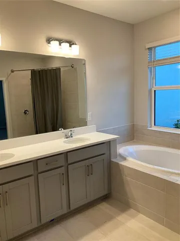 a bathroom with a double vanity sink and a bathtub