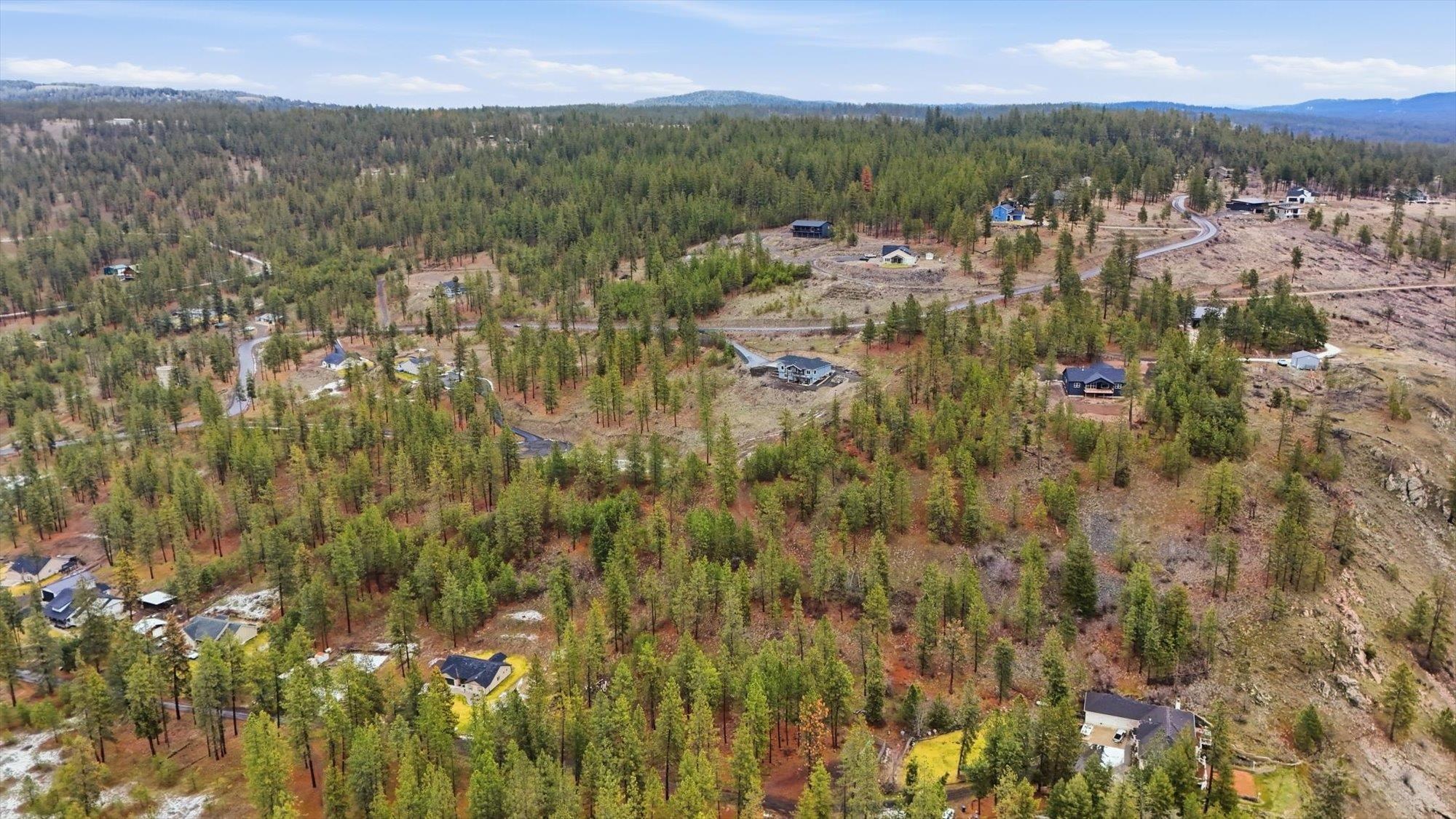 6499 Syringa Way Nine Mile Falls, WA 99026 - Photo 18 of 20