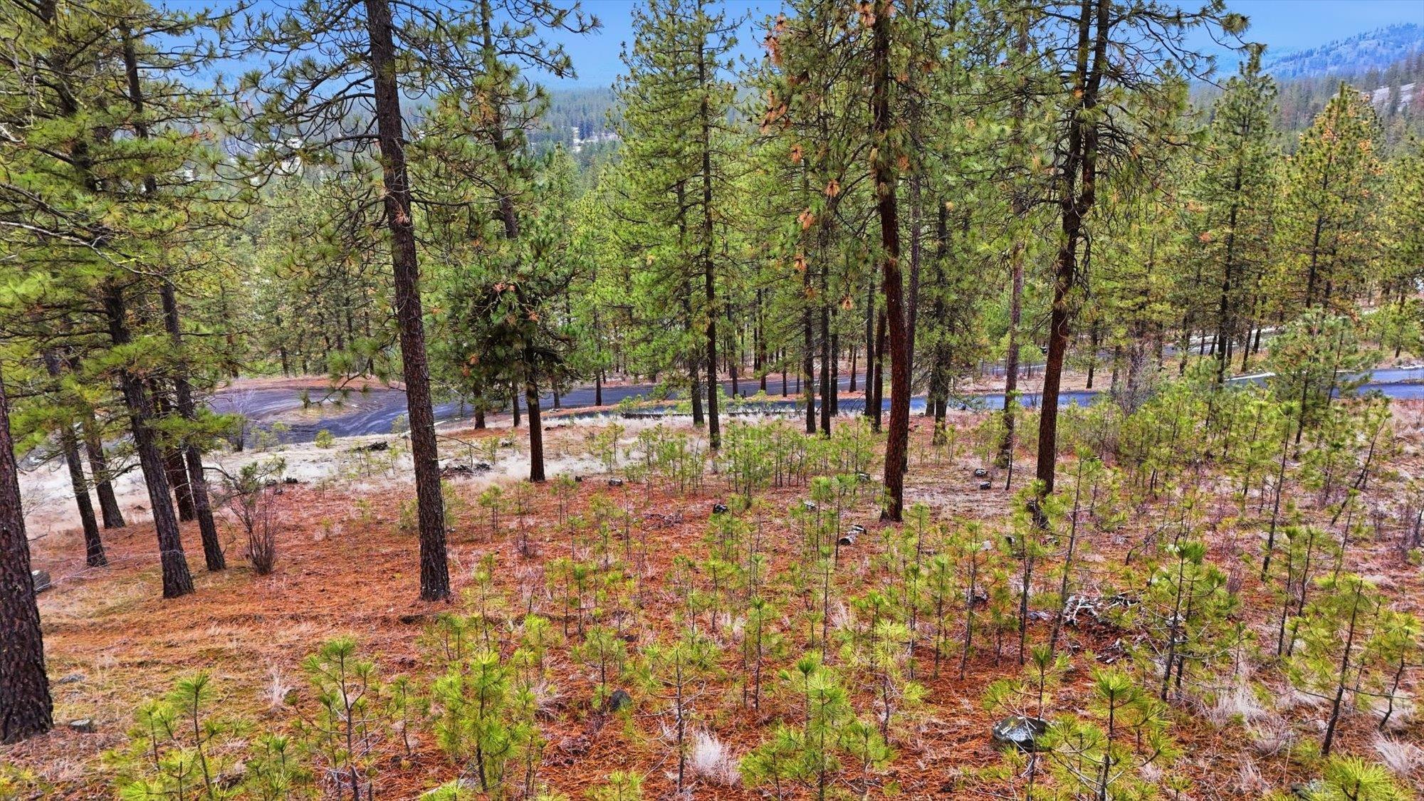 6499 Syringa Way Nine Mile Falls, WA 99026 - Photo 7 of 20