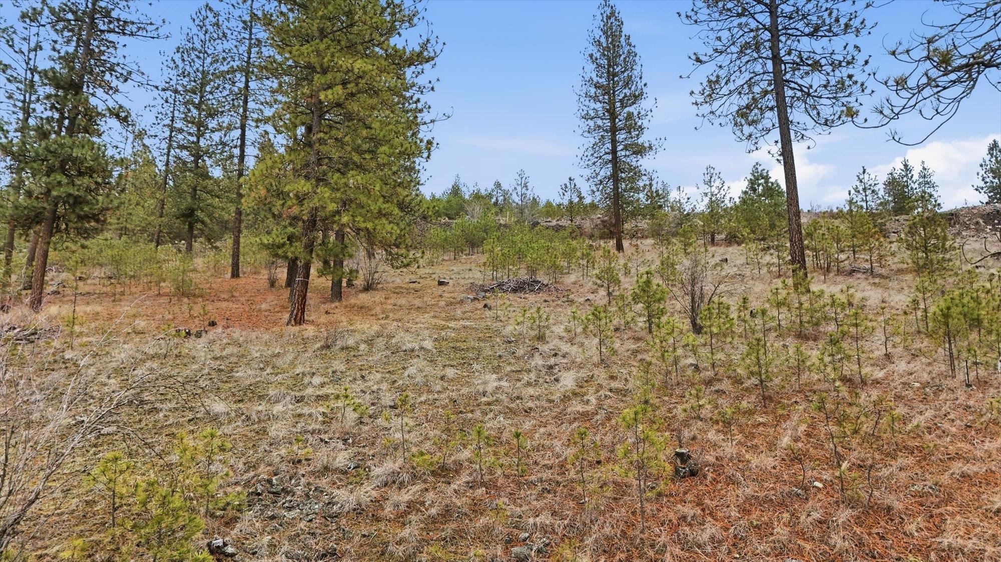 6499 Syringa Way Nine Mile Falls, WA 99026 - Photo 8 of 20