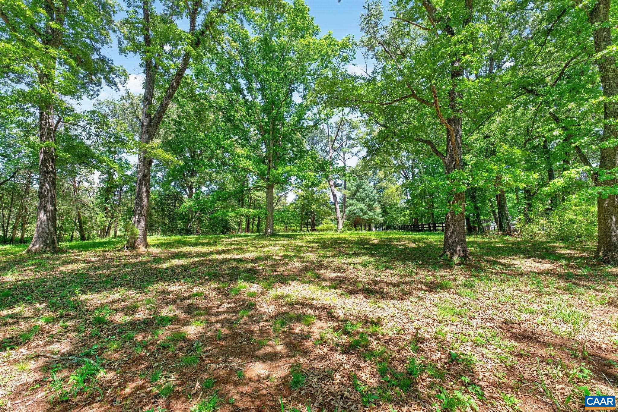 4362 Ivy Road Charlottesville, VA 22903 - Photo 44 of 73