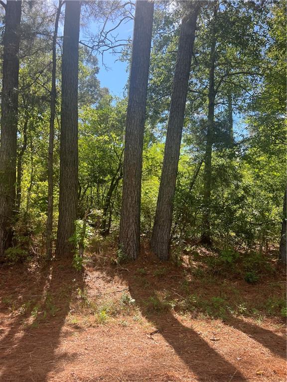 158 Lynn Lake Road Pollock, LA 71467 - Photo 1 of 6