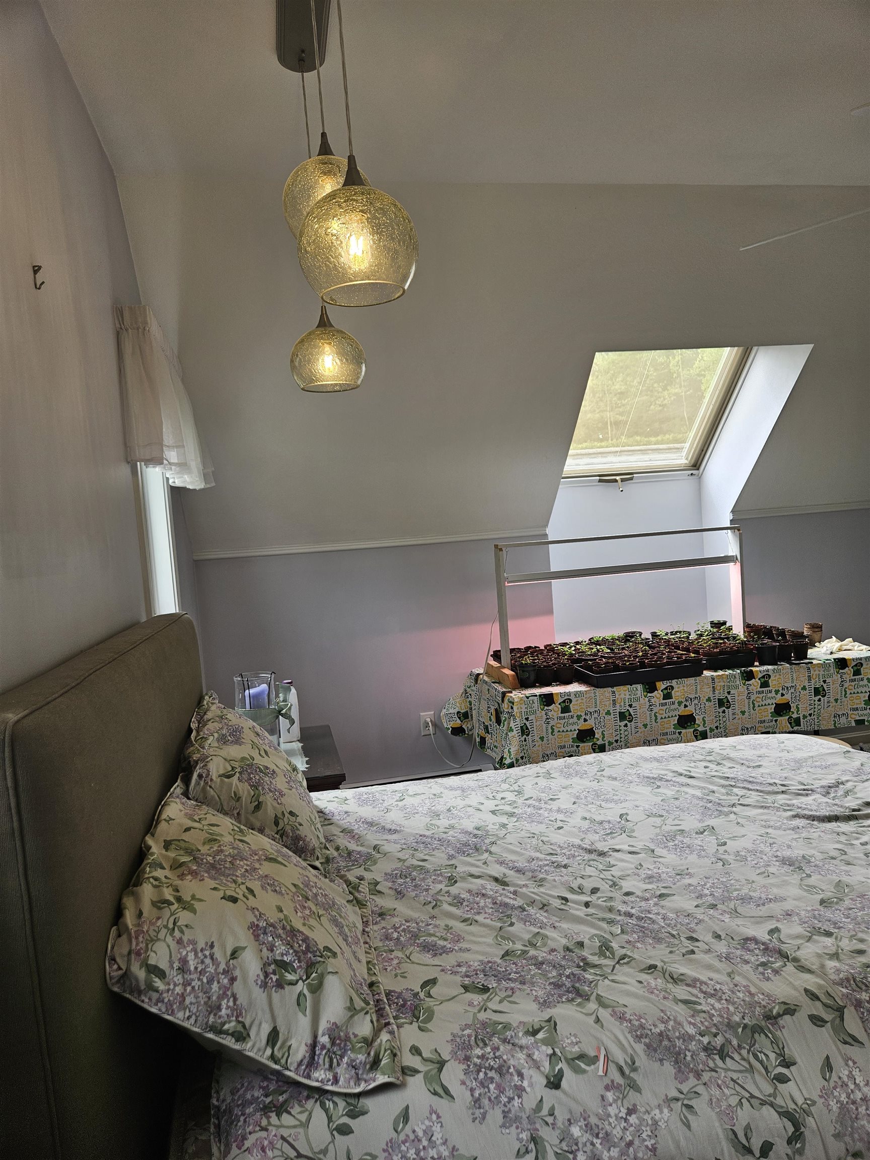 45 Deacon Willey Road Campton, NH 03223 - Photo 45 of 55 Gallery Image 45