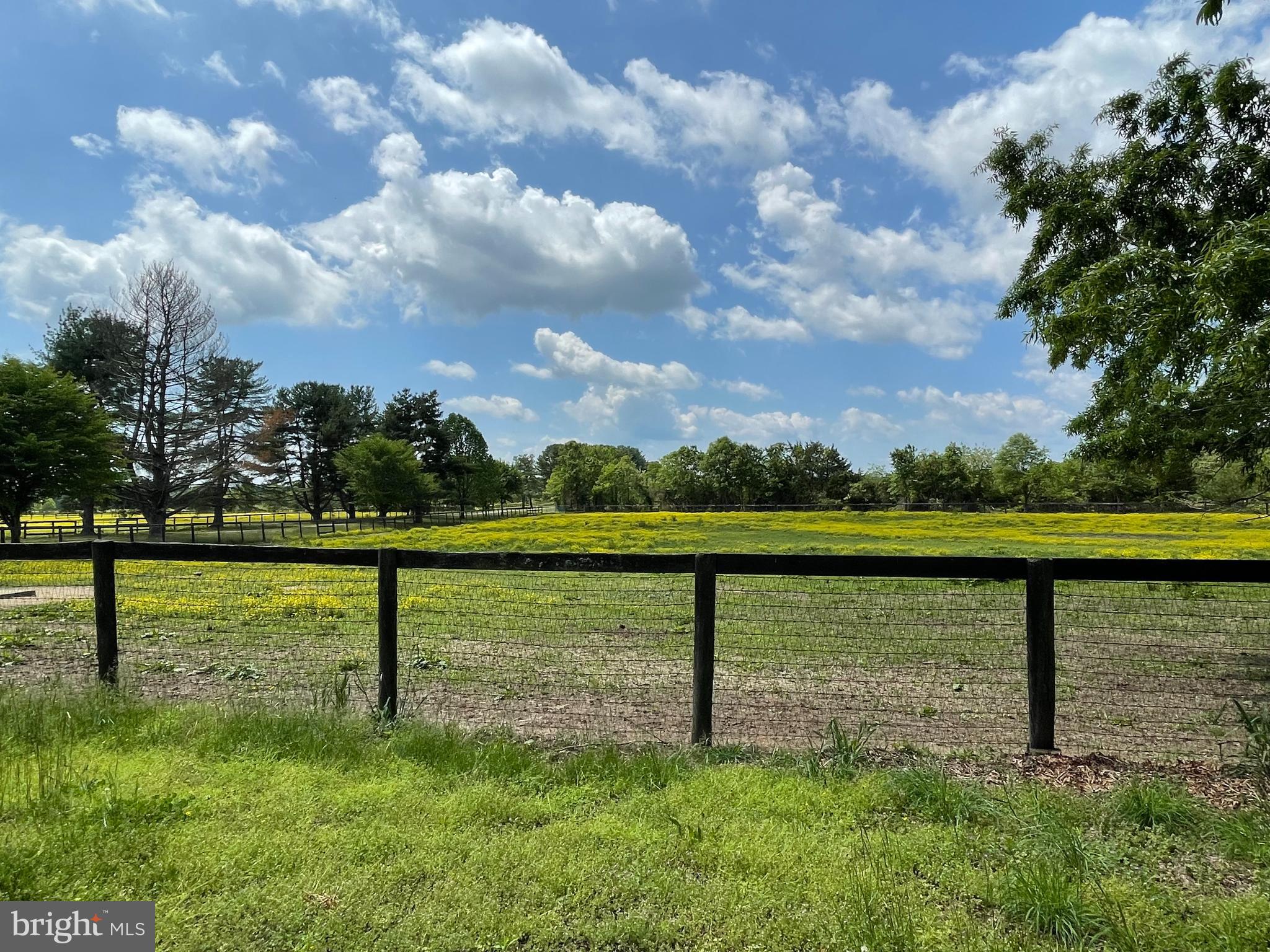 12191 Port Conway Road King George, VA 22485 - Photo 14 of 15 a view of a lake with a garden