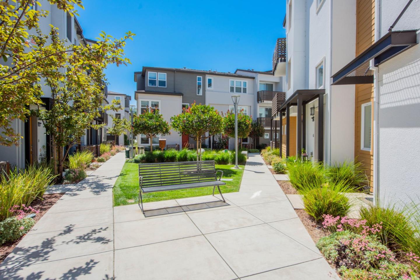 96 Zenith Common Fremont, CA 94539 - Photo 44 of 53 a view of a pathway with a house in the background