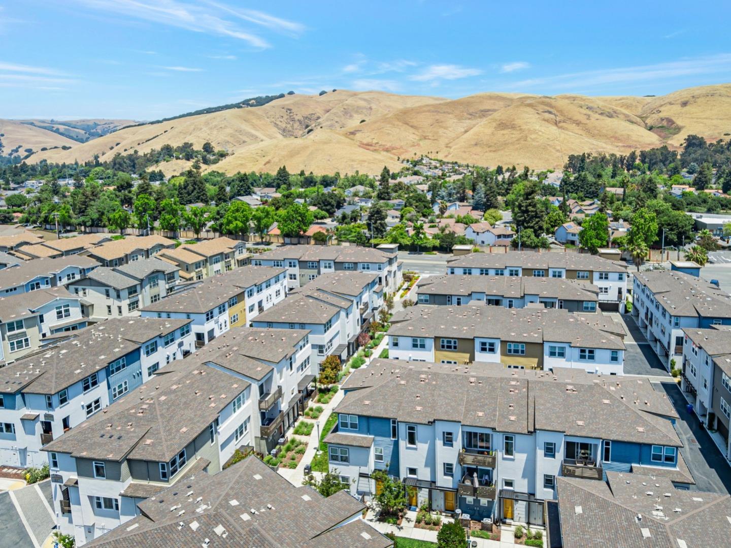 96 Zenith Common Fremont, CA 94539 - Photo 50 of 53