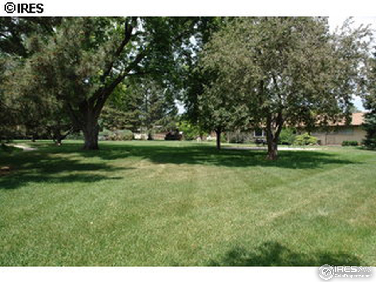 407 East Drake Road, Unit 1 Fort Collins, CO 80525 - Photo 2 of 12 Gallery Image 2