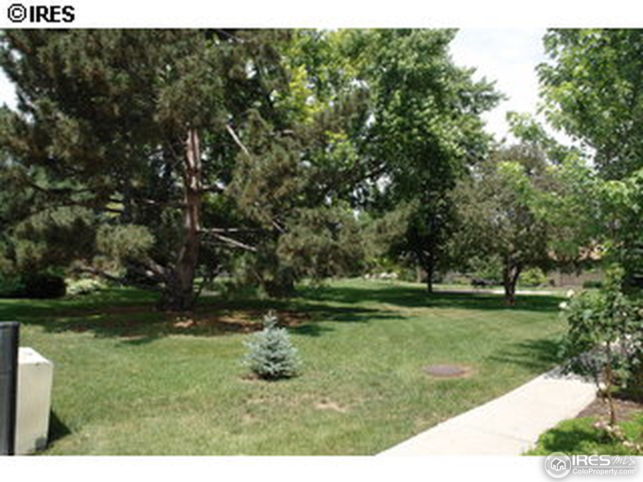407 East Drake Road, Unit 1 Fort Collins, CO 80525 - Photo 4 of 12 Gallery Image 4