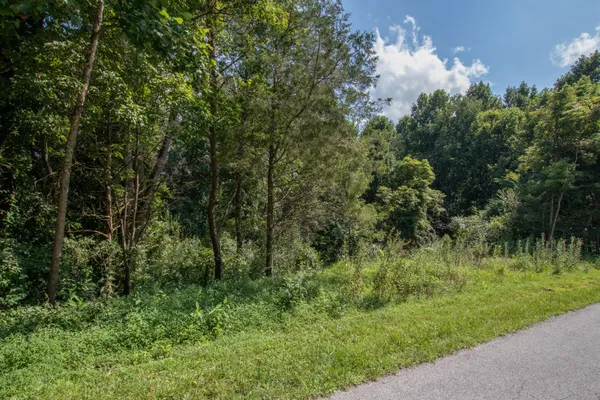 $45,000 | Lot 46 Tbd Preston Place Drive, Unit 46, Abingdon, VA 24211