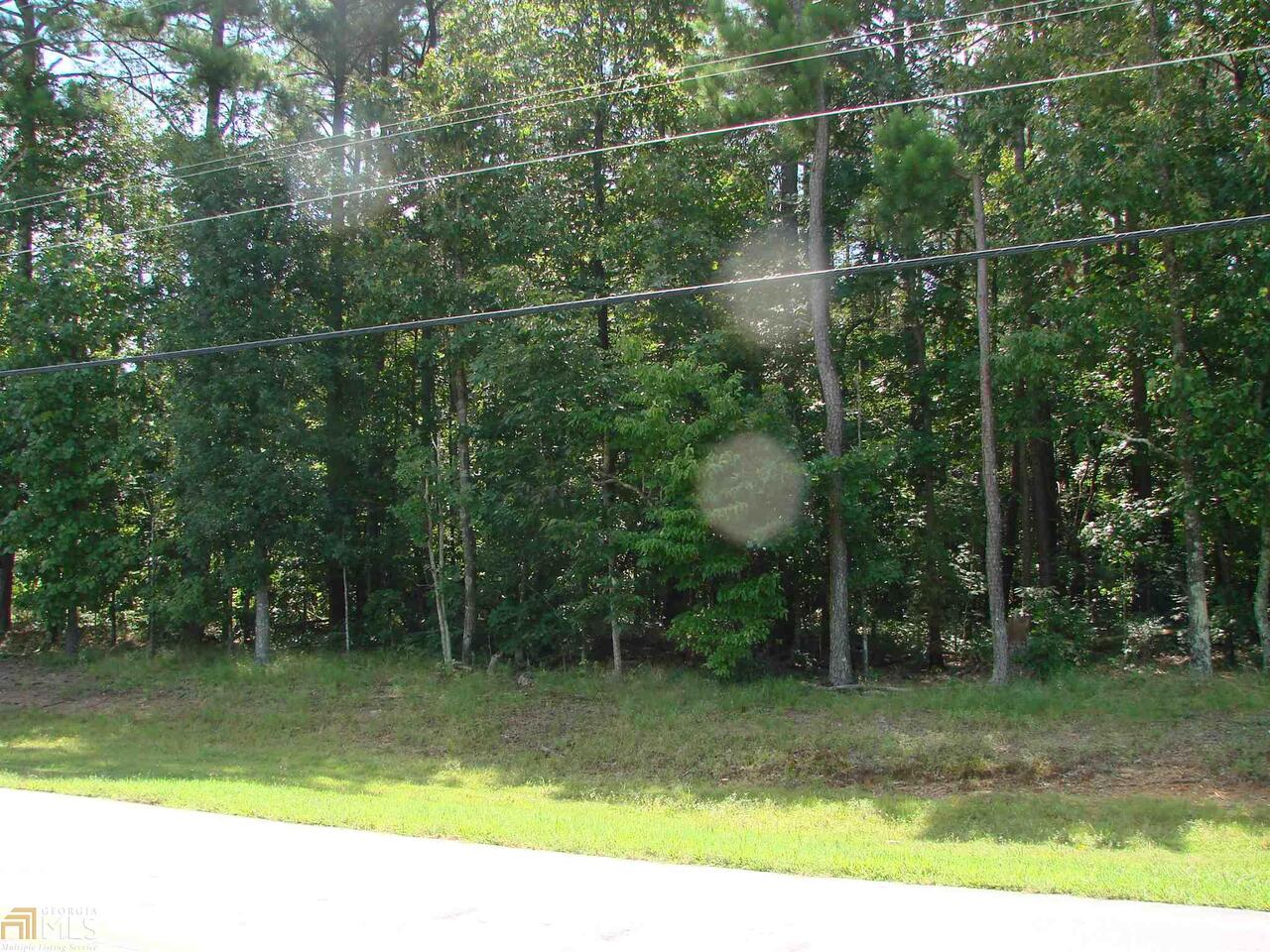 0 Tribble Mill Road Lawrenceville, GA 30045 - Photo 1 of 1 Gallery Image 1
