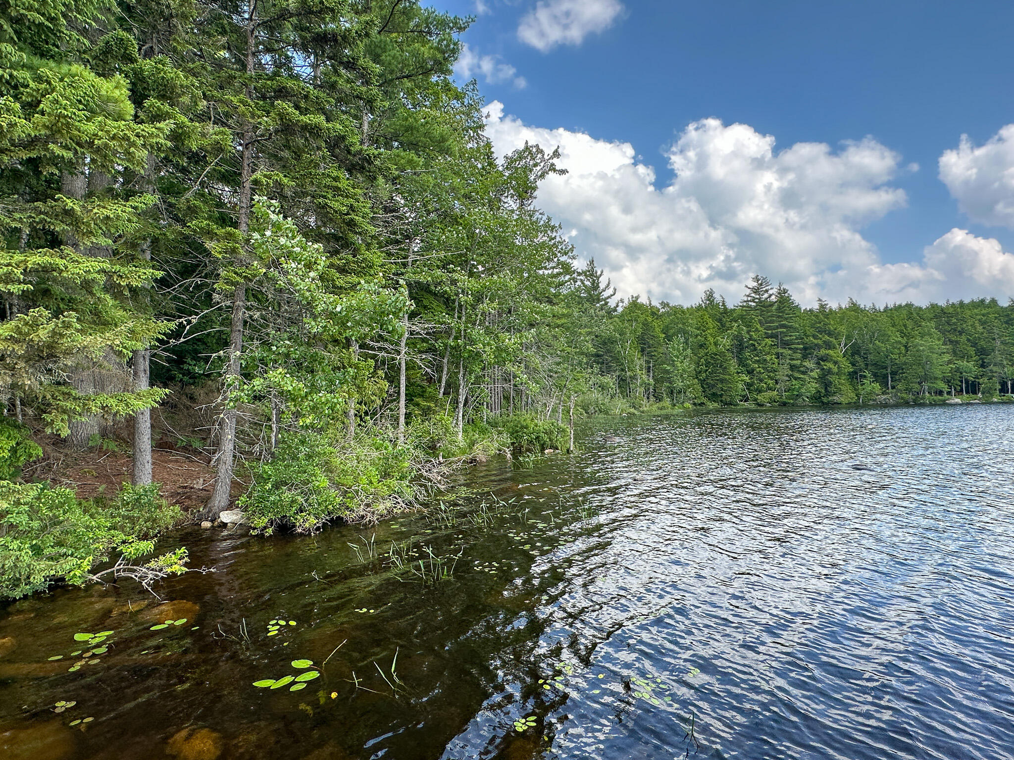 155 Loop Road Lincoln, ME 04457 - Photo 23 of 29 Photo Jun 30 2023, 2 43 29 PM