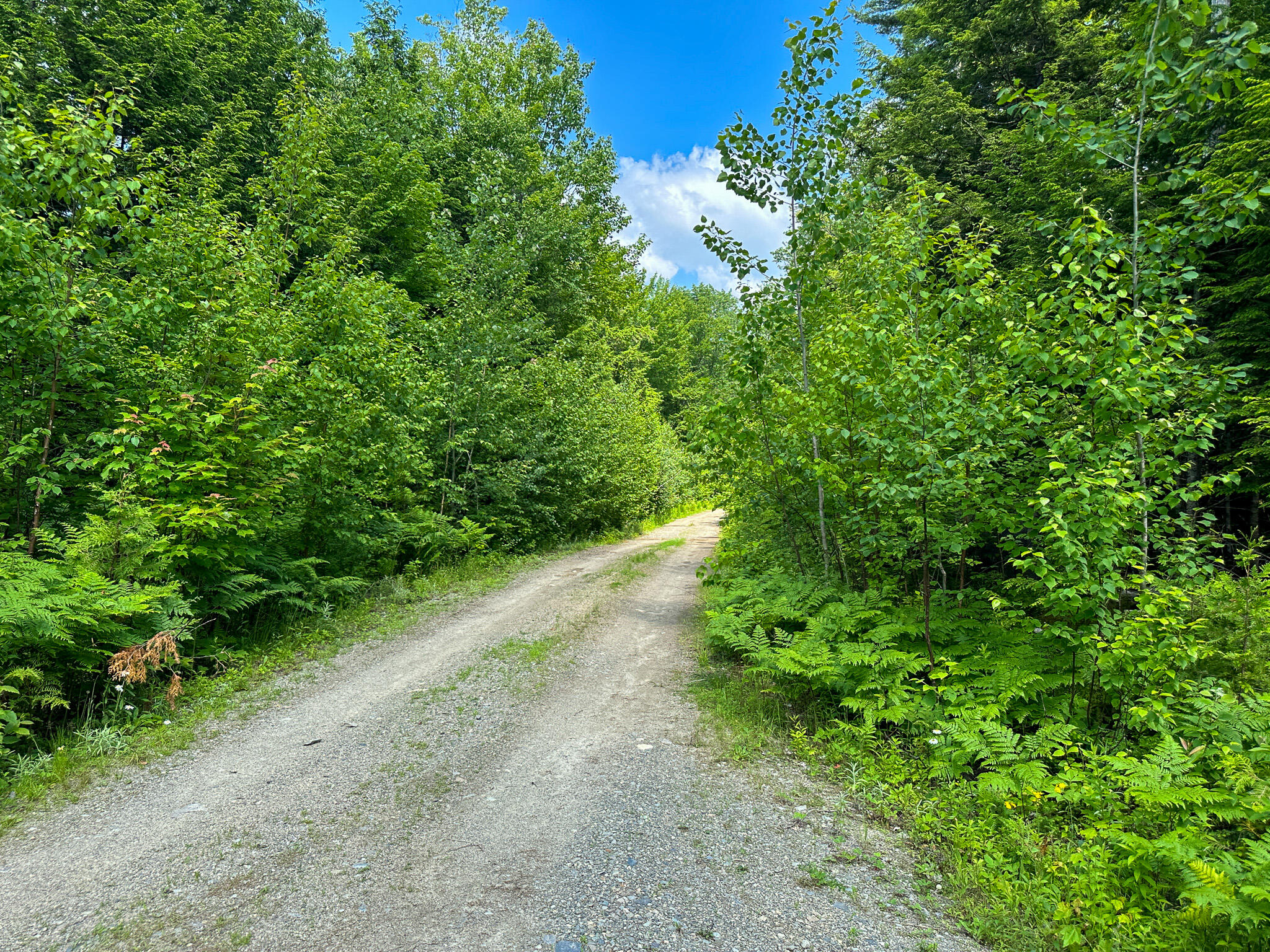155 Loop Road Lincoln, ME 04457 - Photo 28 of 29 Photo Jun 30 2023, 2 48 07 PM